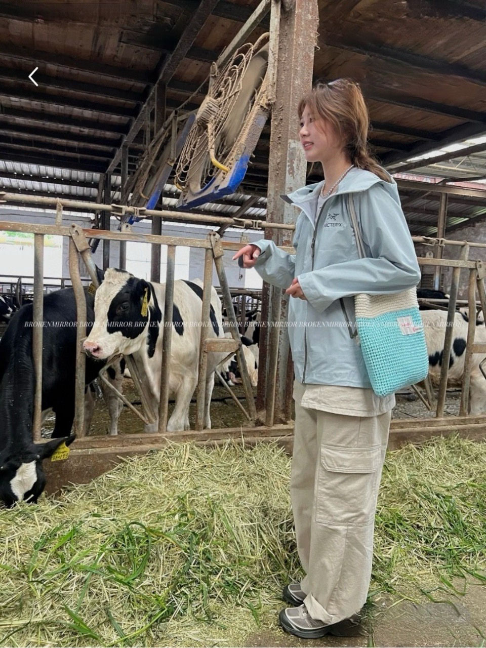 Thumbnail: 始祖鳥情侶衝鋒衣