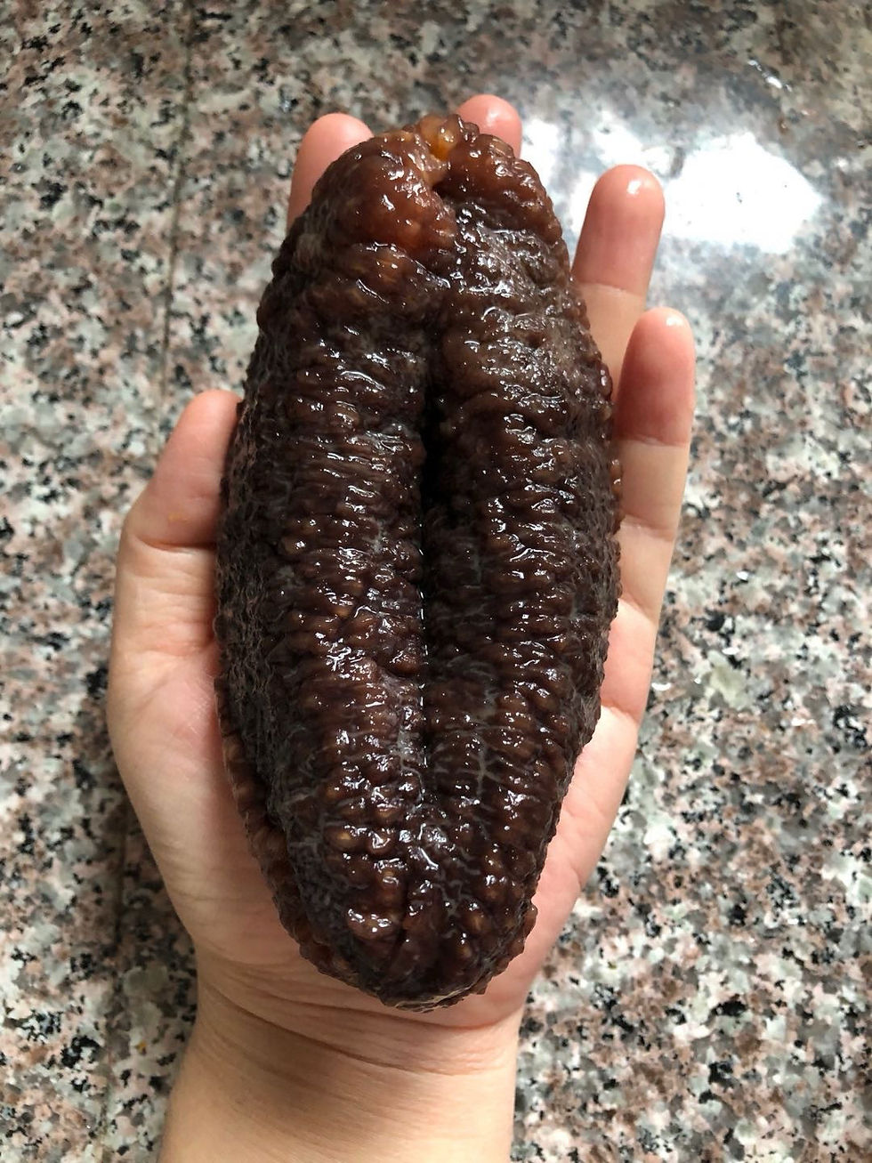 Thumbnail: 🇨🇦北極野生海參30頭圓筒2磅NYY7710088