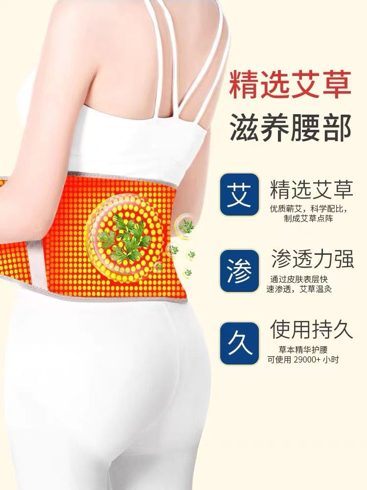 縮圖：艾草護腰