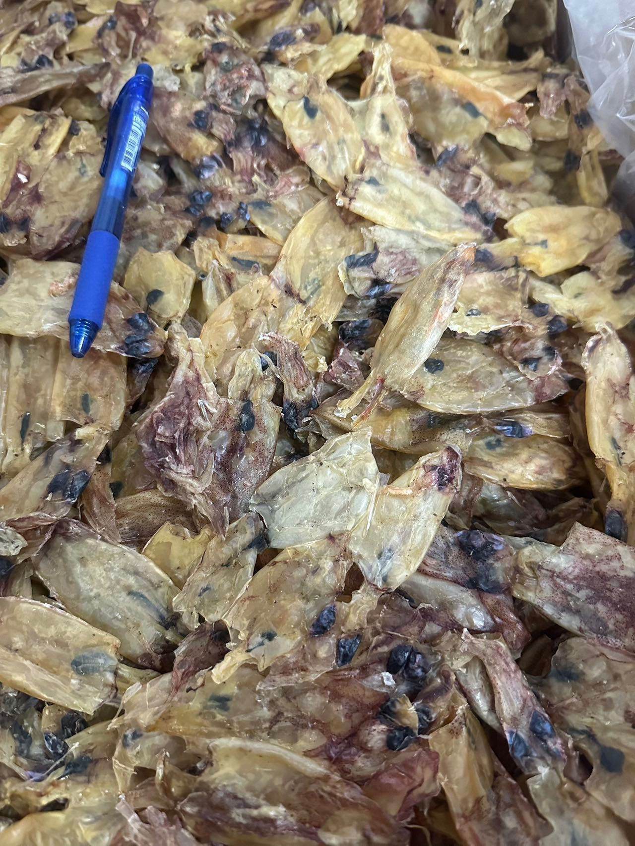 野生魷魚筒仔兩磅