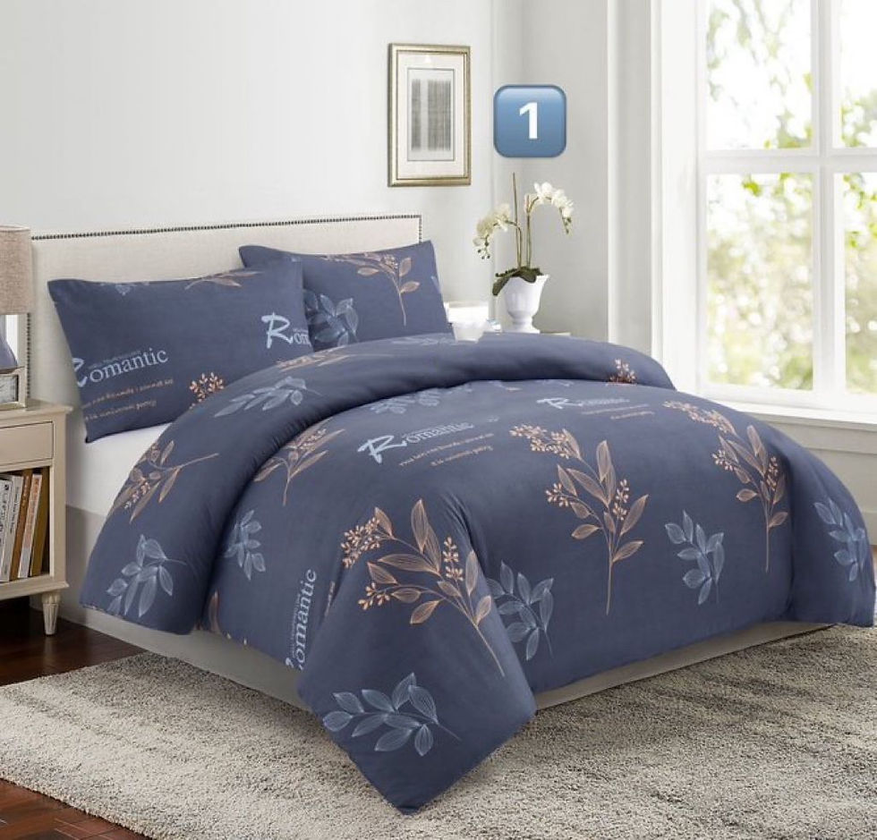 新款床笠四件件套2套