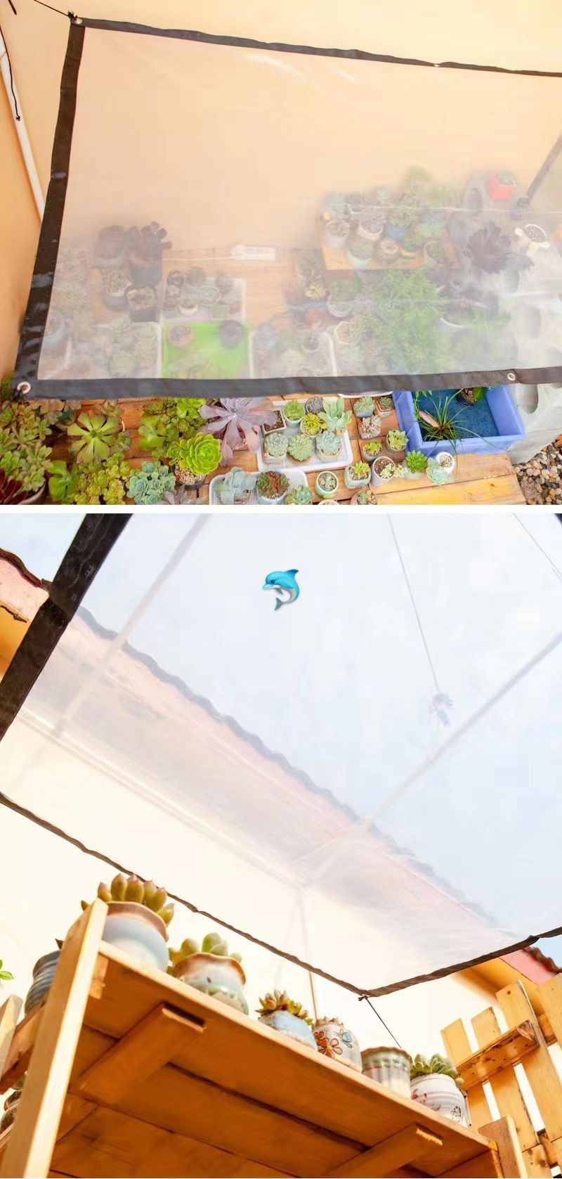 Thumbnail: 植物防寒防雨透光棚布