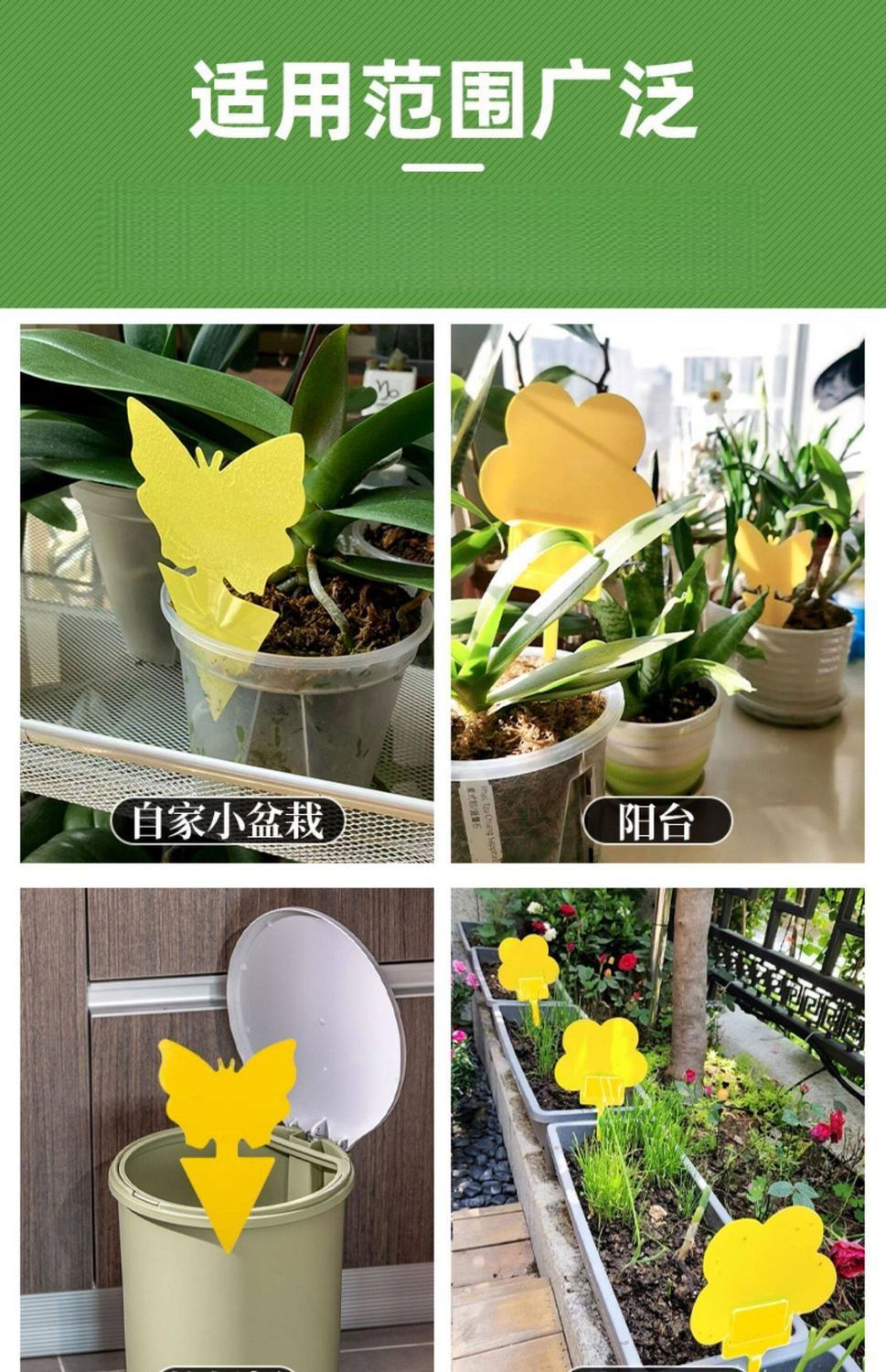 縮圖：黃色小型粘蟲板3盒