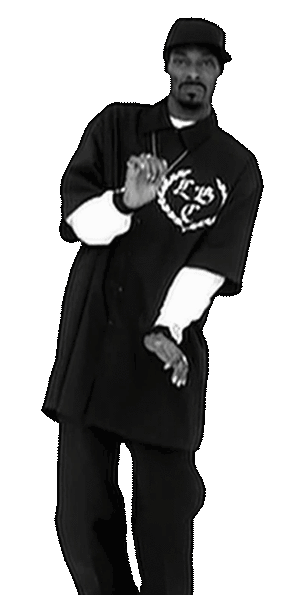 snoop-dogg-gggggga721eb54a9-290x595x58