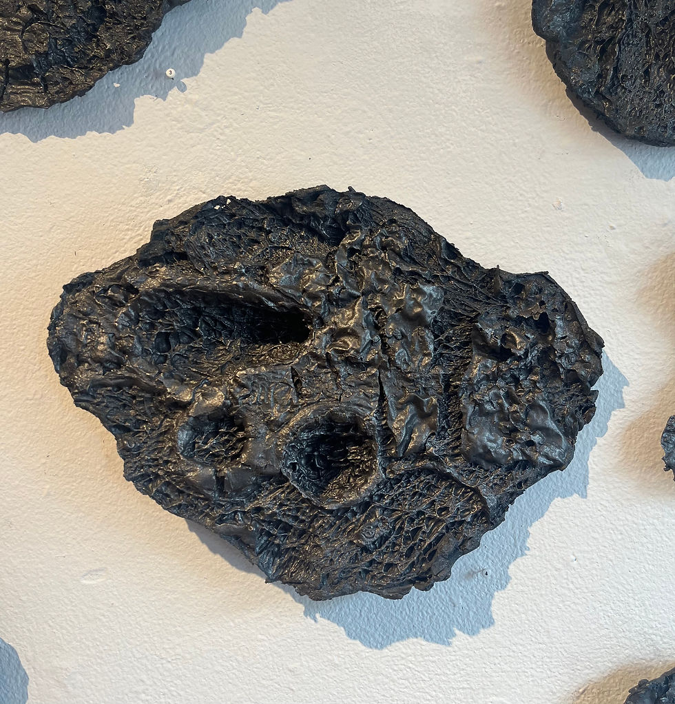 Decomposing Prickly Pear Cactus Pad #4