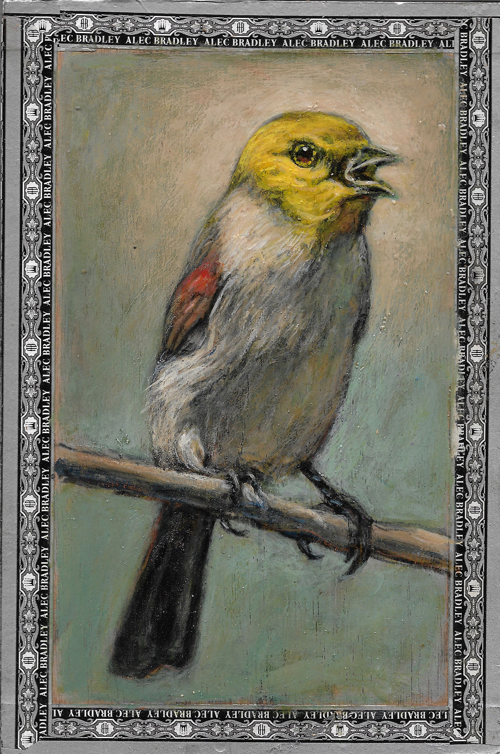 Verdin/Alec Bradley