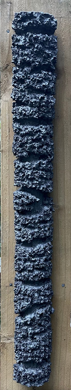 Decomposing Organpipe Cactus #1