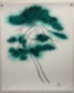 Pine Tree #2