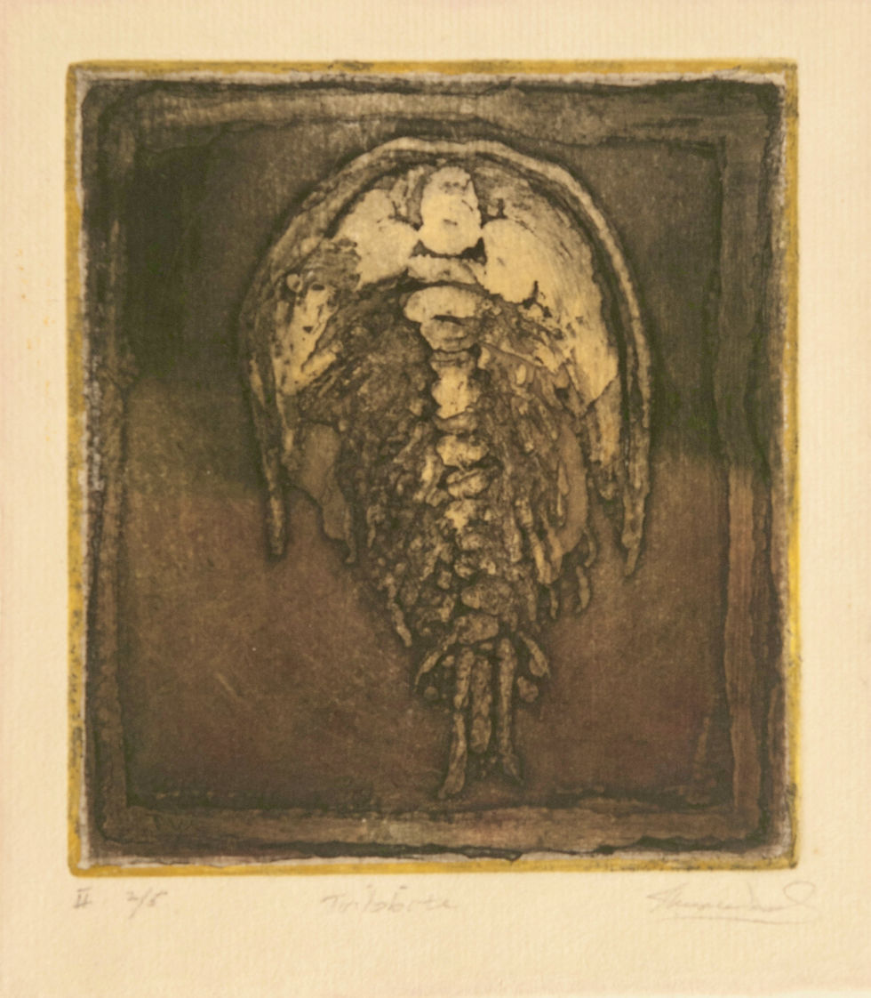 Trilobite State II, 2/5