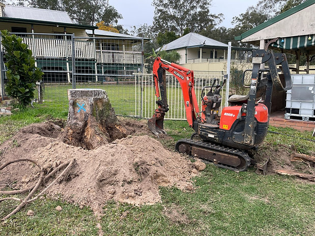 Stump removal