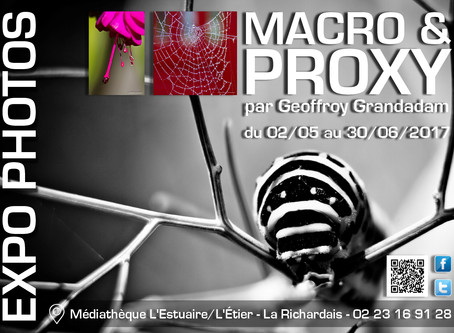 EXPO PHOTOS MACRO & PROXY