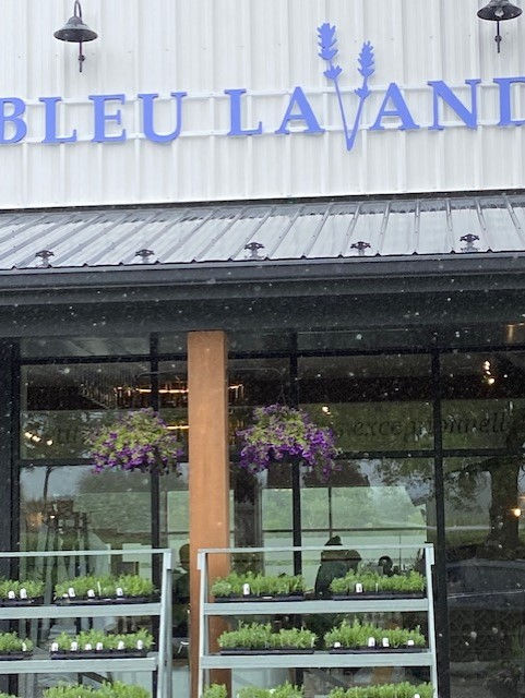 Breathing and Meditation Workshops at Blue Lavandre in Magog.