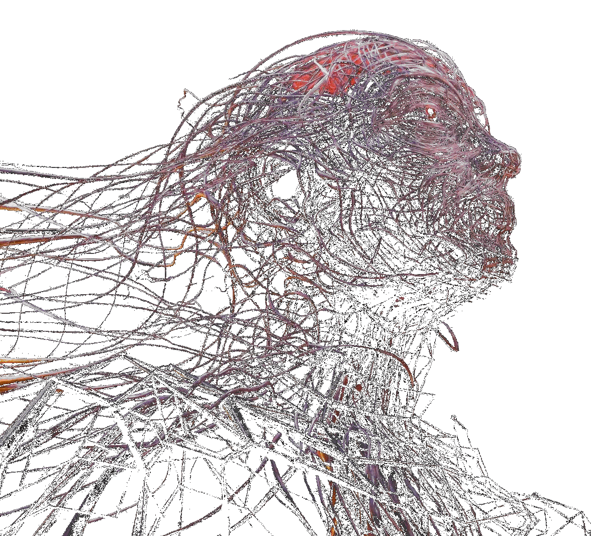 animation dhsontggrd0).gif