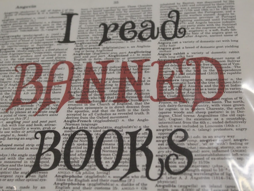Books You Shouldn't Be Allowed to Read (But Can Anyway)