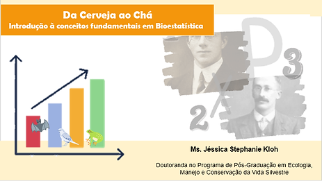palestra4.png