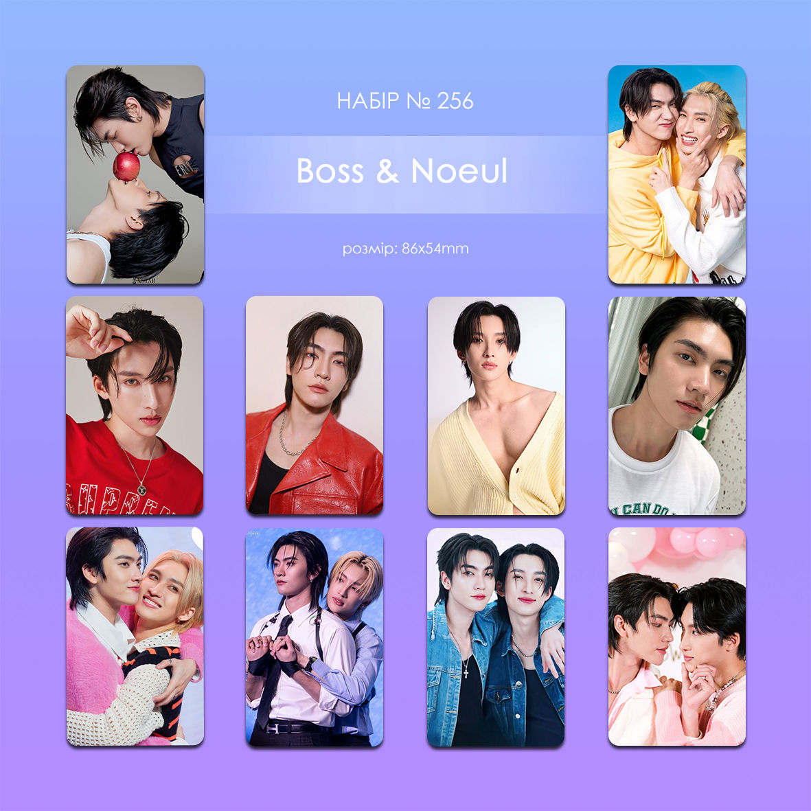 Карточки односторонні (10 шт.) №256 (Boss & Noeul)