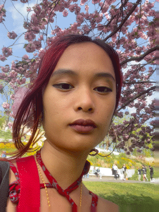 A1.gif