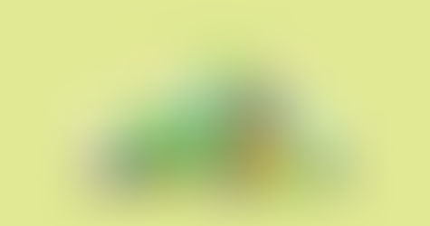 Zero Waste Management ทำอย่างไรให้ขยะเหลือศูนย์