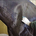 mesotherapy.jpg