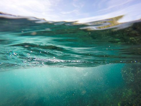 beach-clear-green-735621.jpg