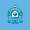 Flag_of_the_United_Arab_Emirates_Air_Force.png