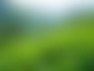 Discover the Beauty of Munnar Tea Gardens