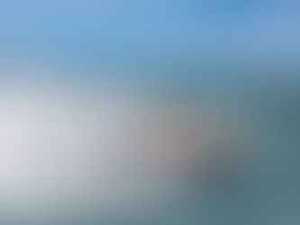 Key West Powerboat Races: High-Speed Action from the Event Collection