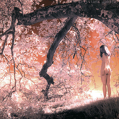 http://fc00.deviantart.net/fs70/f/2010/321/e/d/ed5de1bd9f3afa074867a896631a3e28-d3313lz.jp