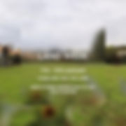 IMG_2107.JPEG