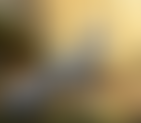 The Fox That Ran with Emotion: Oscar Sanchez on AI, Intention, and Storytelling