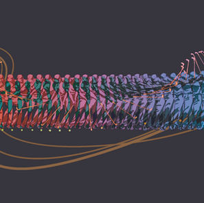 Sports Illustrations