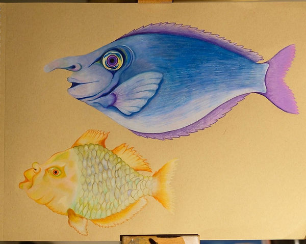 Fish with nose, colour pencil drawing by Clarine Wilmar
