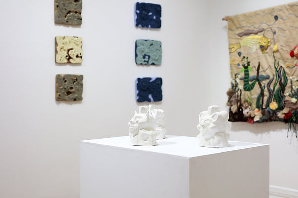 Installation shot of Clarine Wilmar's exhibition