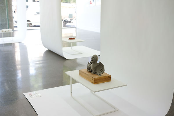 Reclaiming narratives: I am not a virus, installation shot