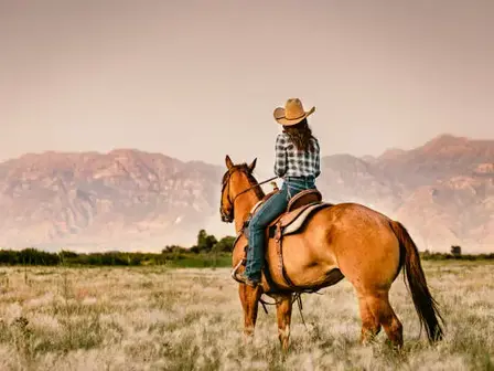 Sustainable and Ethical Horse Riding in Portugal