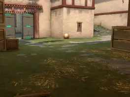 Best Agents for the Haven Map in Valorant