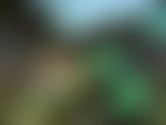 Master the Fracture Map: Top VALORANT Agents Guide