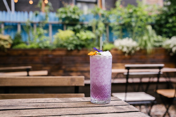 a purple mocktail drink in the Doppelgänger Brooklyn Bar  on a shelf with plants