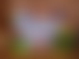 🌷🌸卒園式がありました①🌸🌷