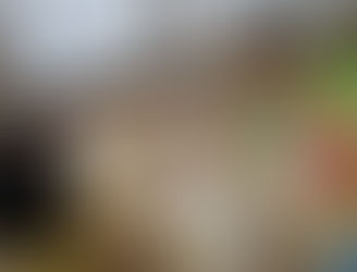 今週の様子をお届けします☆彡