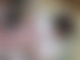 今週の元気なお友だちの様子です(^^♪