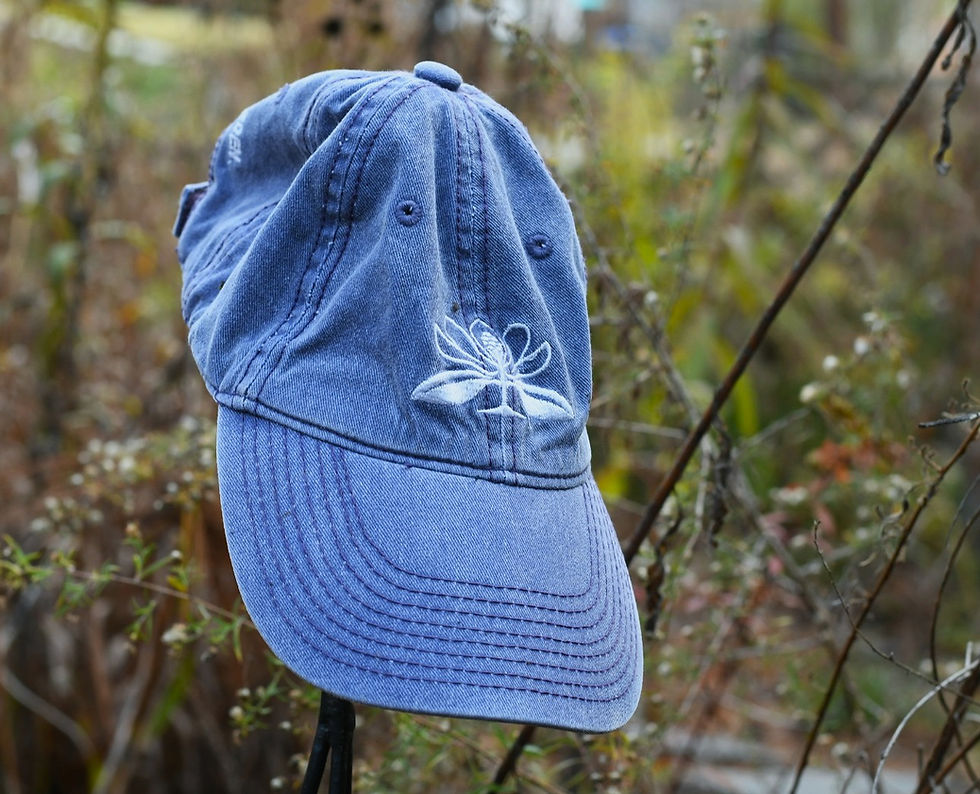 Everyone loves a good baseball hat that also supports a local non-profit.