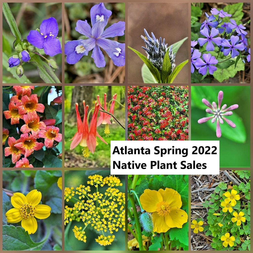 Atlanta Area Spring 2022 Native Plant Sales and Nurseries