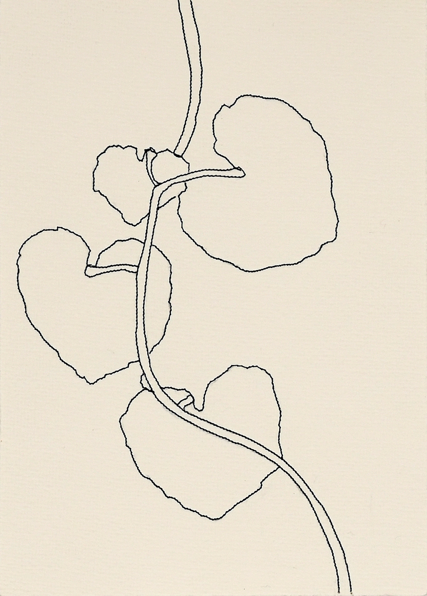 Feldwaldwiese 11 (Common Backyard)