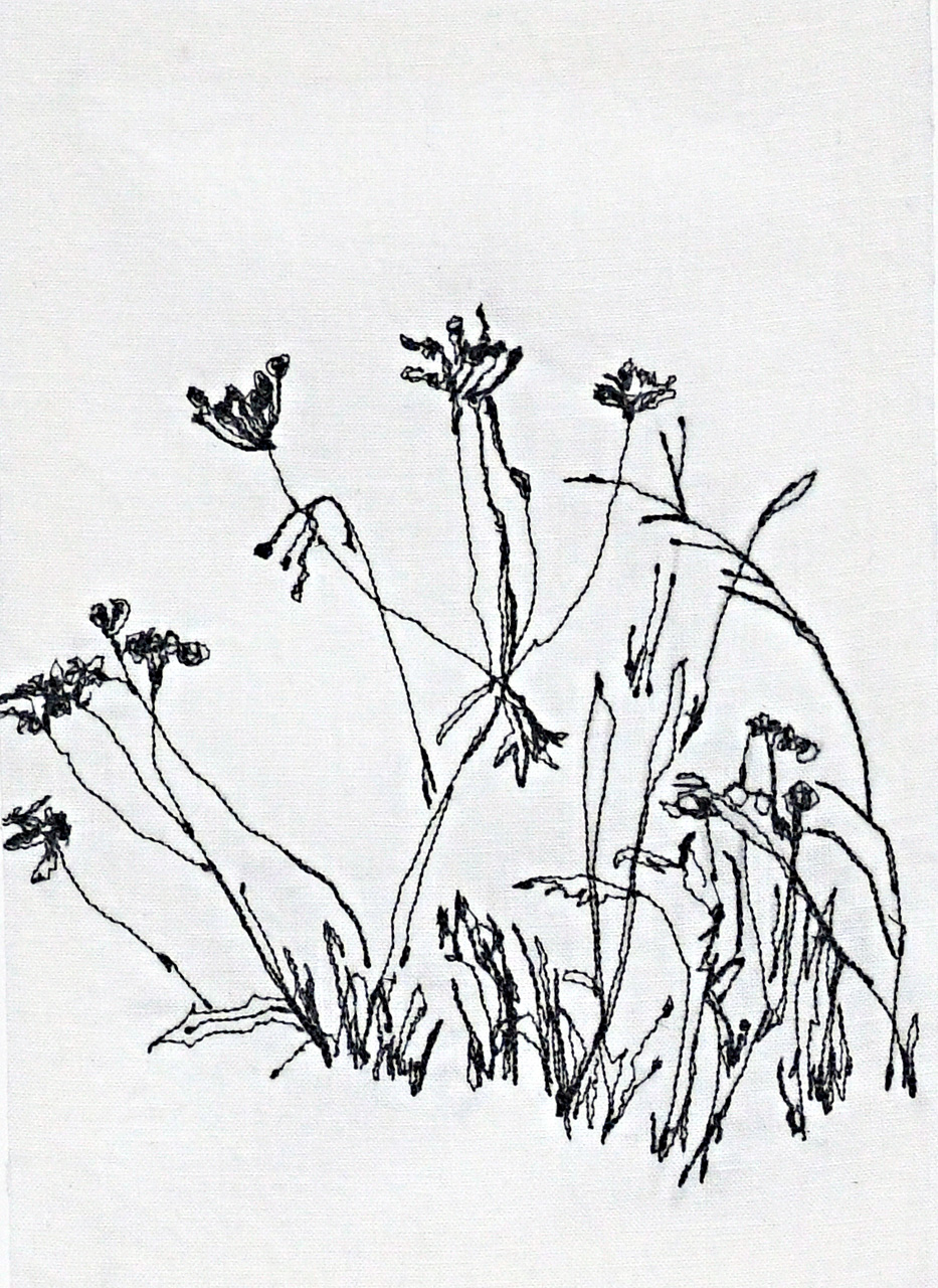 Feldwaldwiese_06