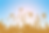 tmm-potch-footer-bg.png