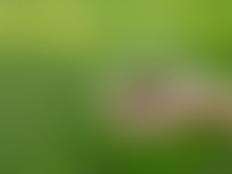 DRG Siyaya Article: Energy and culture