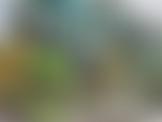 Invest Durban - Catalytic projects offer much opportunity to local businesses