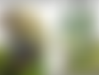 Melissa Mungroo - UKZN’s Cape Parrot Working Group