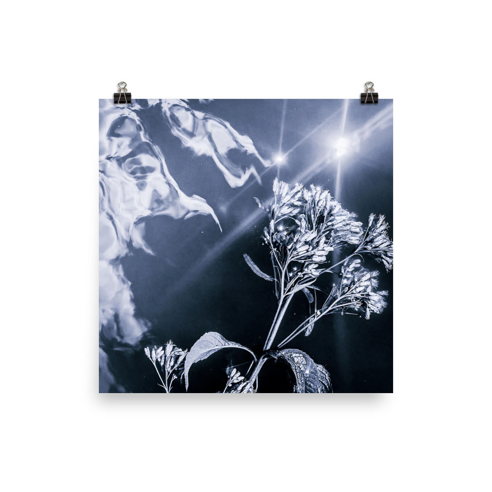 No.5 Parmi un million d'étoiles, elle flotte, libre No.5